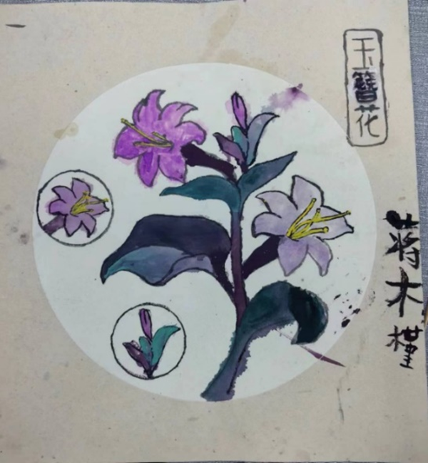 伟德体育