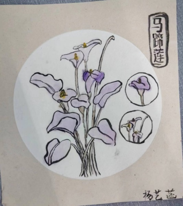 伟德体育